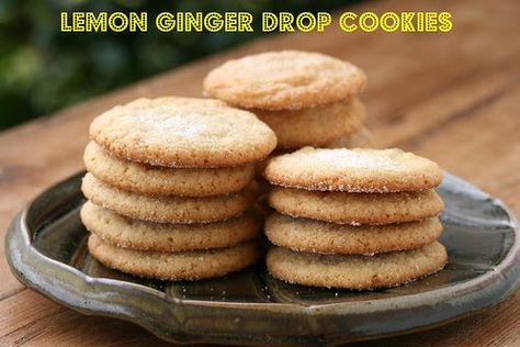 The Food Librarian: Lemon Ginger Drop Cookies - Martha Stewart Cookies Healthy, Love Cookies, Lemon Ginger, Sprinkle Cookies, Martha Stewart Living, Drop Cookies, Ginger Cookies, Lemon Cookies, Healthy Cookies