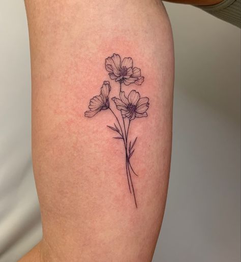 Buttercups Flower Tattoo, Cornelia Flower Tattoo, Cosmos Birth Flower Tattoo, Daisy And Sweetpea Tattoo, Cosmo And Marigold Flower Tattoo, Cosmos Flower Tattoo October, Cosmos Flower Tattoos, Cosmo Flower Drawing, October Birth Flower Tattoo Cosmos