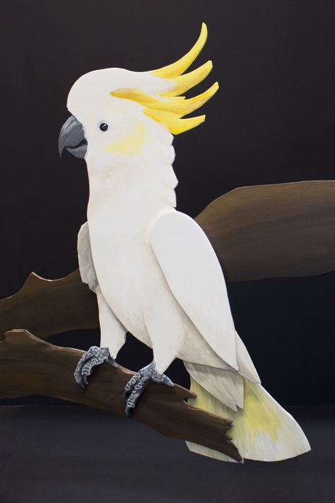 Animal Images, Book Week, White Feathers, Colorful Birds, Animals Images, Foam Board, Art Works, Acrylic Paint, Parrot