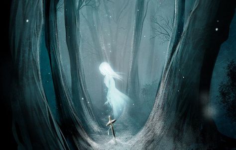 Ghost Girl, X Reader, The Ghost, The Story, Ghost, Walking, Forest, Anime