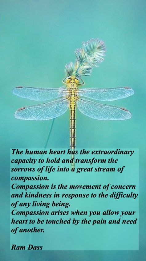 Dragonfly Meaning Spiritual, Dragonfly Meaning, Dragonfly Quotes, Compassion Quotes, Remembering Mom, Remembrance Tattoos, Ram Dass, Tarot Magic, Dog Quotes Love