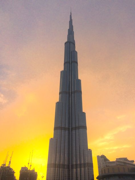 The famous tallest building in the world during the golden hour  #dubai #burjkhalifa #sunset #building Burjkhalifa Sunset, Sunset Building, Dubai Burjkhalifa, Tallest Building In The World, The Golden Hour, Burj Khalifa, Golden Hour, The Golden, Dubai