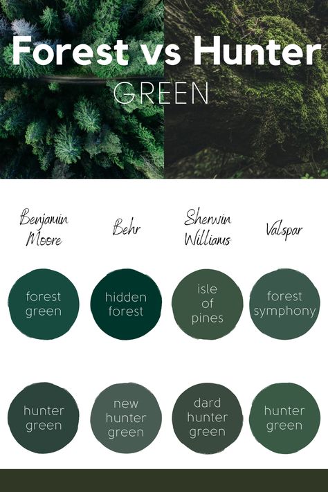 hunter green vs forest green Top Green Paint Colors Behr, Green Agate Behr Paint, Forest Green Sherwin Williams, Deep Green Wall Paint, Black Forest Green Paint, Green Paint Behr, Rich Green Paint Colors, Hunter Green Walls, Forest Green House Exterior