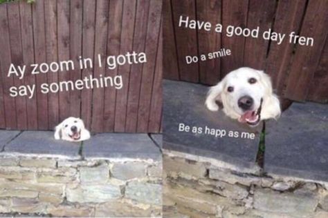 22 Wholesome Memes That'll Make You Smile - Memebase - Funny Memes Good Day Meme, I Love Your Face, Morning Handsome, Good Morning Handsome, Wholesome Stuff, Fresh Memes, Good Morning Sunshine, Cute Messages, Cheer You Up