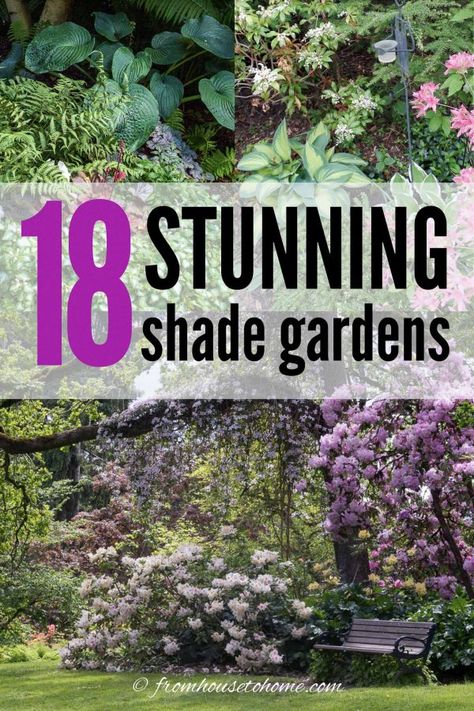 Whether you are gardening in a small space, a large backyard or even a side yard, creating a beautiful shade garden design is possible. Find some shade garden ideas and inspiration that will help you build the shade garden design of your dreams. Ground Cover Garden, Woodland Garden Ideas, Frontyard Landscape Layout, Front Yard Garden Ideas, Garden Design Layout Landscaping, Shade Garden Ideas, Shade Loving Shrubs, Shade Landscaping, Perennial Ground Cover