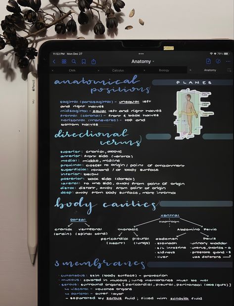 Science Notes Aesthetic Biology, Goodnotes Examples, Anatomy Goodnotes, Biology Goodnotes, Goodnotes Notes Ideas Aesthetic, Digital Study Notes, Goodnotes Aesthetic Notes, School Notes Aesthetic Biology, Biology Digital Notes