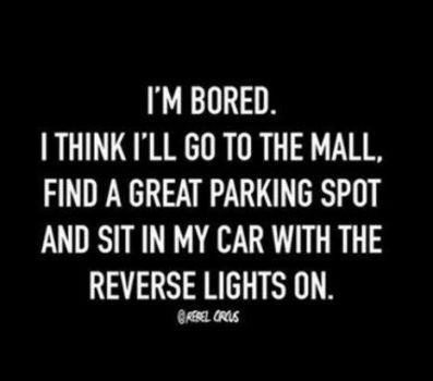 Circus Quotes, Sunday Funnies, I'm Bored, White Rock, Memes Sarcastic, Sassy Quotes, Twisted Humor, Baghdad, Sarcastic Humor