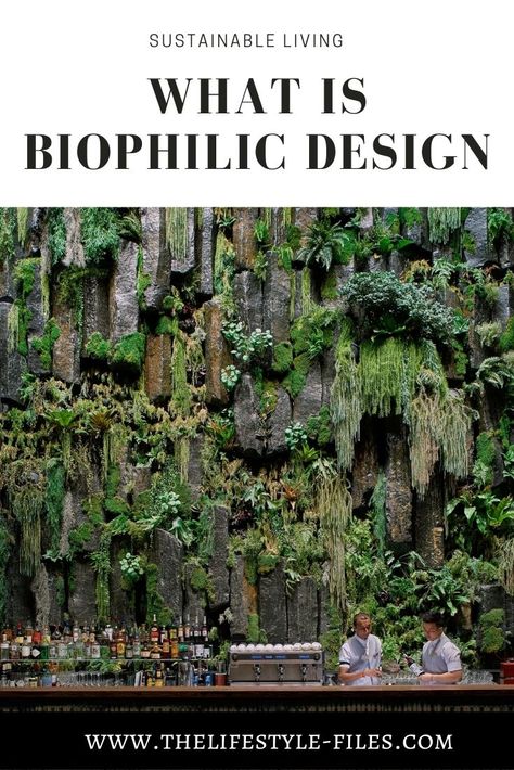 What is biophilic design? - The Lifestyle Files Green Home Design Sustainable Living, Sustainable Home Exterior, Sustainable Housing Architecture, Eco Home Sustainable Living, Green Architecture Design, Sustainable Design Architecture, Green Building Concept, Biofilic Design, Sustainability Art