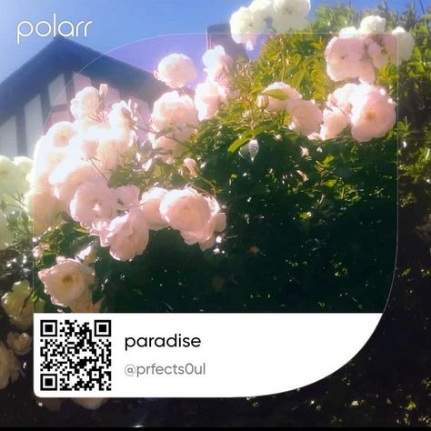 polarrfilters polarr polarrfilter polarrcodes polarrcode filters filter aesthetic edits polarrqrcodes edit editing picsart editinghelp polarrstyles explore polarrfiltercode aestheticfilters polarredit aestheticedits editingneeds Polar Filters Code, Photo Editing Apps Android, Filter Polarr Code, Polarr Filters Code, Snapseed Tutorial, Polar Filter, Polar Filters, Vintage Photo Editing, Vintage Filters