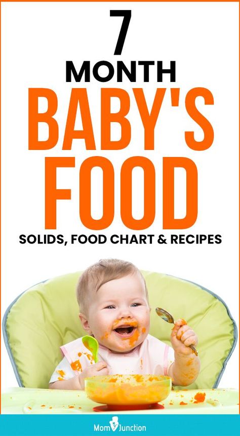 Seven Month Old Baby Food, What To Feed A 7 Month Old, 7 Month Old Baby Food Recipes, Food For 7 Month Old Baby, 7 Month Old Food, Baby Food 7 Months, 7 Month Old Baby Food, Yummy Food Ideas, 7 Months Baby Food