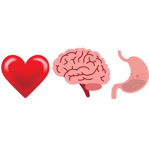 Follow your heart, Trust your Gut & Think with your Brain....LIFE awaits you there! Heart Brain, Brain And Heart, Trust Your Gut, Follow Your Heart, Your Brain, Trust Yourself, Brain