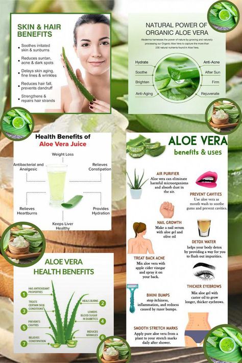 Unlock the Healing Power of Aloe Vera DescriptionDelve into the numerous benefits of aloe veraa versatile plant renowned for its healing propertiesFrom soothing sunburns and moisturizing dry skin to promoting digestive health and boosting immunityaloe vera offers a wide range of therapeutic benefitsRich in vitaminsmineralsand antioxidantsthis natural wonder can be used topically or consumed internally to support overall wellnessExperience the wonders of al #NutritionHealthTips Aloe Vera Juice Benefits, Plant Healing, Ayurveda Diet, Wellness Experience, Boosting Immunity, Benefits Of Aloe Vera, Esthetician School, Aloe Vera Benefits, Aloe Vera For Skin