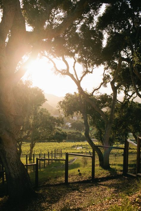 Carmel Valley Ranch / Incredible Photography, Carmel Valley Ranch, Signage Ideas, Our Memories, Carmel Valley, Weekend Escape, Islands Of Adventure, Romantic Destinations, Eco Friendly Travel