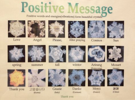 Positive Message Hidden Messages In Water, Masaru Emoto, Awakening Quotes, I Can Do Anything, About Water, Hidden Messages, Hidden Message, Spoken Words, The Portal