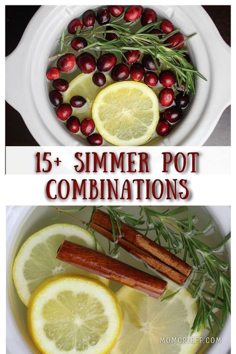 Cranberry Simmering Potpourri, Fresh Smelling Simmer Pot, Simmer Pot With Rosemary, How To Do A Simmer Pot, Basil Simmer Pot, How To Dry Fruit For Simmer Pots, Mini Crockpot Potpourri, Aromatic Simmer Pot, January Simmer Pot Recipes