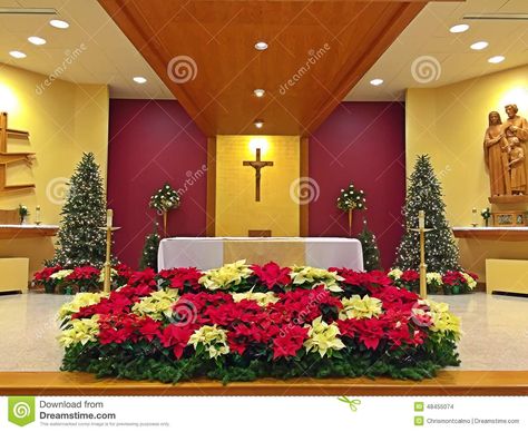 Christmas Altar, Advent Church Decorations, Wedding Chapels, Church Christmas Decorations, Church Altar Decorations, Church Altar, Altar Arrangement, Christmas Church, Christmas Flower Arrangements