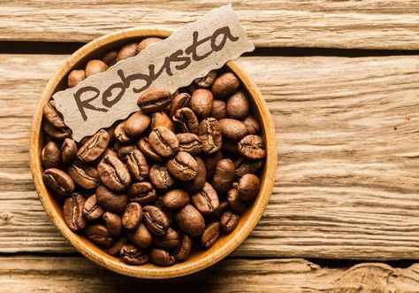 Types Of Coffee Beans, Robusta Coffee, Americano Coffee, Coffee Supplies, Coffee Health Benefits, Coffee Benefits, Chocolate Powder, Roasted Coffee Beans, Gourmet Coffee