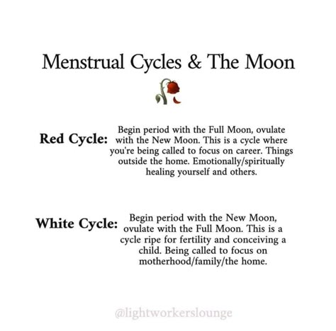 Interesting Perspective, Womb Healing, Divine Feminine Spirituality, Feminine Health, Menstrual Health, Vie Motivation, Sacred Feminine, Moon Cycles, Feminine Power