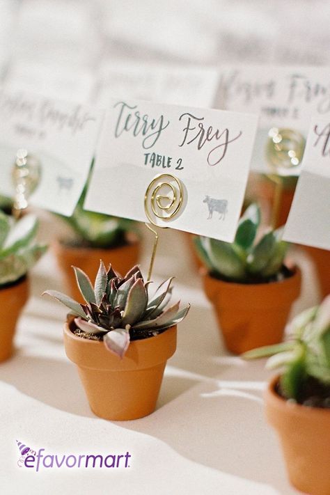 Succulent Party Favors, Succulent Wedding Centerpieces, Wedding Name Tags, Wedding Plants, Place Card Holders Wedding, Succulent Wedding Favors, Succulent Favors, Wedding Place Names, Garden Theme Wedding