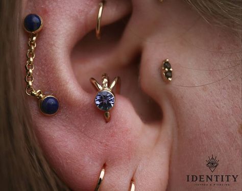 Alex Cummins on Instagram: “Yellow gold and tanzanite custom jewellery made by me for this healed anti-tragus! ❤️ @identitytbay  #antitragus #antitraguspiercing…” Anti Tragus Jewelry, Tragus And Anti Tragus Piercing, Double Anti Tragus Piercing, Anti Tragus Piercing Ideas, Piercings 2023, Curated Piercings, Eat Piercing, Ear Project, Anti Tragus Piercing