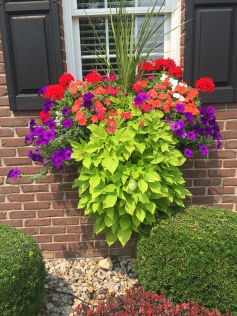 Flower boxes Pink And Red Flower Planters, Red And Yellow Flowers In Planters, Red Flower Pot Ideas, Flower Pot Ideas Outdoor, Pots Front Door, Front Door Plant, Front Door Flower Pot Ideas, Summer Pots, Patio Flower Pots