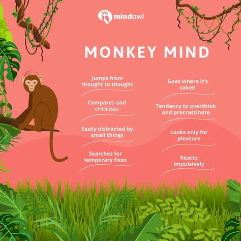 Monkey Brain, Monkey Brains, Monkey Mind, Easily Distracted, Best Practice, Mindfulness Quotes, Psychology, Brain, Meditation