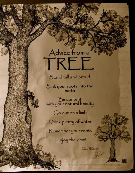 Advice From A Tree, Tree Quotes, Studio Pilates, Yoga Iyengar, Enjoy The Ride, Pilates Studio, Pilates Reformer, Tree Stand, Nature Quotes