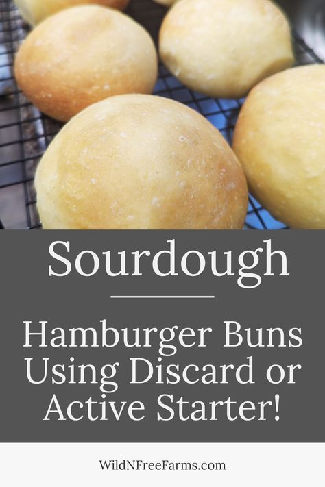 sourdough hamburger buns Sour Dough Burger Buns, Homemade Sourdough Hamburger Buns, Easy Homemade Burger Buns, Sourdough Discard Hamburger Bun Recipe, Easy Sourdough Hamburger Buns, Easy Sourdough Burger Buns, Sourdough Buns No Yeast, Gluten Free Sourdough Hamburger Buns, Sourdough Discard Hamburger Buns Easy