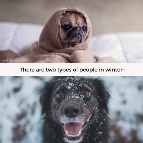 #funny #humour #winter #businessmentor.gr Winter Break Meme Funny, Winter Memes Humor, December Memes Funny, So Cold Humor, Australia Meme, Cold Humor, Winter Meme, Broke Meme, Cold Images