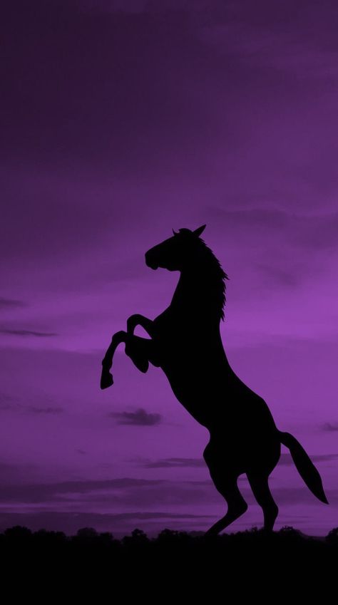 Cute Horses Wallpapers, Halloween Horse Wallpaper, Dark Horse Wallpaper, Equitation Aesthetic, Aesthetic Horse, Horse Background, Purple Horse, Dibujos Toy Story, Wallpaper Backgrounds Aesthetic