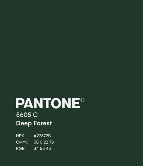 Dark Green Palette, Pantone Green, Pantone Color Chart, Pantone Swatches, Colors Combinations, Website Color Palette, Pantone Colour Palettes, Color Schemes Colour Palettes, Green Palette