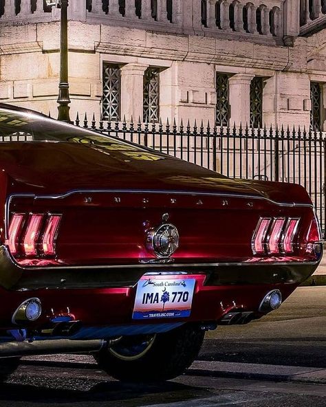 Bespoke Provocateur — thegoldblackmagazine: Like a cherry. #tGBmag... Mustang 67, Ford Mustang Eleanor, Shelby Mustang Gt500, 60s Muscle Cars, 2005 Ford Mustang, Cars Girls, Mustang Gt500, Shelby Mustang, 2015 Mustang