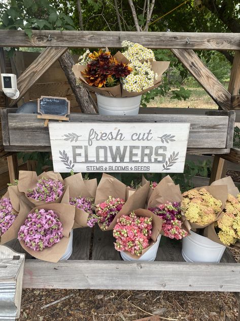 Greenhouse Inspiration, Farm Shed, Flower Farming, Invasive Plants, Farm Stand, Flower Food, Sweet Peas, Fresh Cut Flowers, Booth Ideas