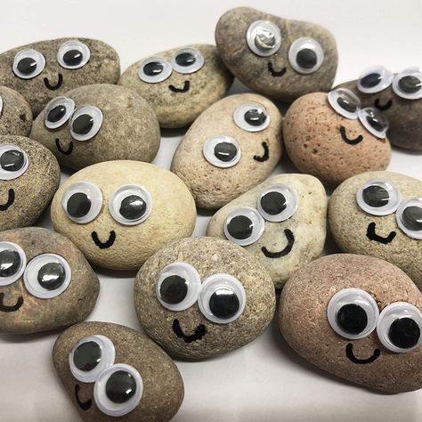 Exercise Block, Pet Rocks Craft, Pet Cloud, Belly Button Cleaning, Pet Ghost, Pet Rock, Rock Gifts, Animal Crafts For Kids, Pet Rocks