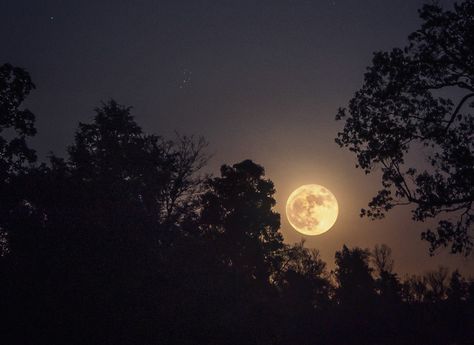 Moon Aesthetic For Laptop, Moon Background Laptop, Moon Friend Aesthetic, Moon Pc Wallpaper, Night Sky Moon, Moon Lover, Yellow Moon, The Moon Is Beautiful, Look At The Moon