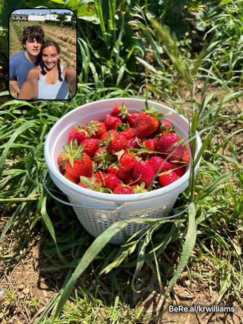 Strawberry Picking Date Aesthetic, Bereal Ideas Boyfriend, Strawberry Picking Date, Fun Friend Dates, Couple Bereal Ideas, Summer Dates With Boyfriend, Cute Summer Date Ideas, Cute Dates Aesthetics, Dream Dates Aesthetic