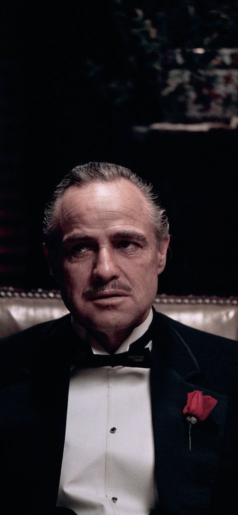 Vito Corleone Wallpaper, Marlon Brando The Godfather, The Godfather Wallpaper, The Godfather Poster, Corleone Family, Young Al Pacino, Mafia Wallpaper, Don Vito Corleone, Vito Corleone