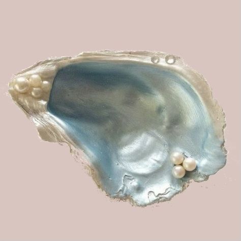 Pearl Aesthetic, Mermaid Cove, Mermaid Aesthetic, Oyster Shell, Ocean Life, Sirens, Aphrodite, Aesthetic Photo, Rocks And Crystals