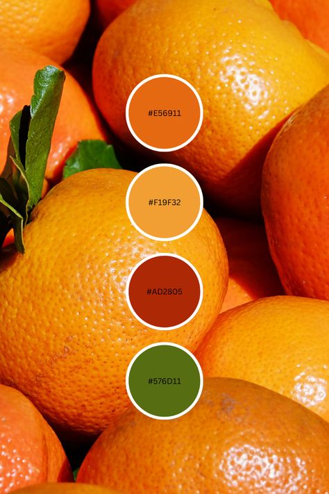 Mango Colour Palette, Mango Color Palette, Citrus Color Scheme, Vibrant Orange Color Palette, Passion Fruit Color Palette, Mango Color, Hex Color, Clear Spring, Hex Color Palette