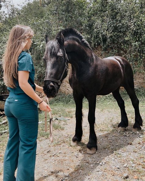 Valerie 🌿 Future Vet ⚕️ on Instagram: “𝐇𝐚𝐩𝐩𝐲 𝐈𝐧𝐭𝐞𝐫𝐧𝐚𝐭𝐢𝐨𝐧𝐚𝐥 𝗪𝐨𝐦𝐞𝐧’𝐬 𝐝𝐚𝐲 🌸 ⁣⁣ ⁣⁣ Don’t ever let anyone make you believe you’re too girly, too fragile or too small to do ANYTHING.…” Veterinarian Career, Equine Veterinarian, A Vet, Make You Believe, Ultrasound, Veterinarian, Do Anything, We Heart It, Career