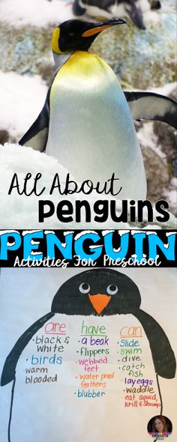 Penguin Activities, Centers and Crafts for Preschool and Kindergarten Preschool Penguin Activities, Preschool Penguin, Penguins Kindergarten, Penguin Crafts Preschool, Polar Activities, Penguin Preschool, All About Penguins, Penguin Activities, Welcome To Kindergarten