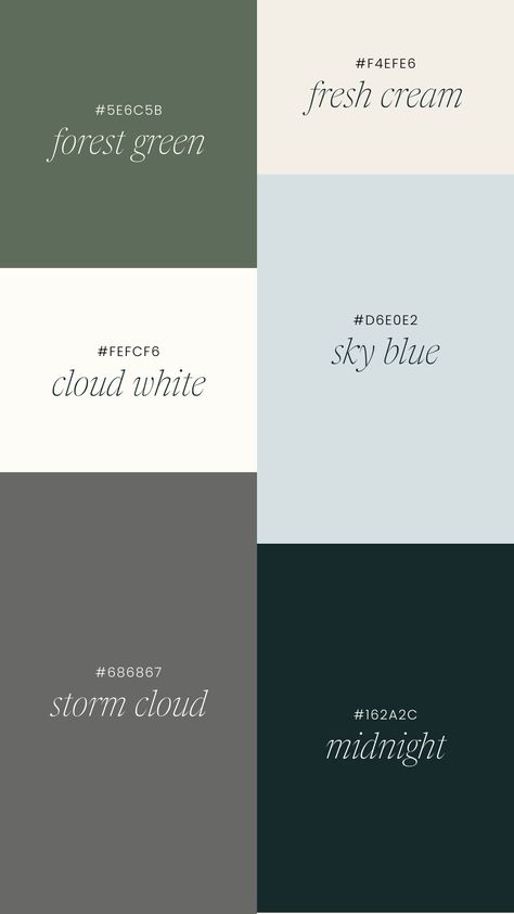 Showit Color Palette, Modern House Palette, Colors Aesthetic Palette, Boho Style Color Palette, Colors That Work Well Together, Color Palette Portfolio, Luxury Logo Color Palette, Modern Palette Color, Industrial Design Color Palette