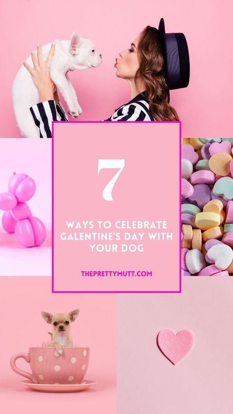 There's no better way for a dog mom to celebration Valentine's Day than with her dog. Have a wonderful Day celebrating Love with these seven inspirations. Pet Valentines, Valentines Dog, Mutt Dog, Expensive Gifts, Galentines Day, Valentines Day Activities, Dog Valentines, Have A Wonderful Day, Valentines Day Party