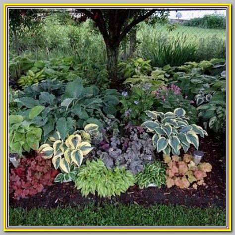 79 The Most Trending Landscaping Garden Decor Ideas Pallet Upcycling, Shade Garden Design, Shade Garden Plants, Hosta Gardens, Coral Bells, Dream Yard, House Landscaping, Garden Shrubs, Have Inspiration