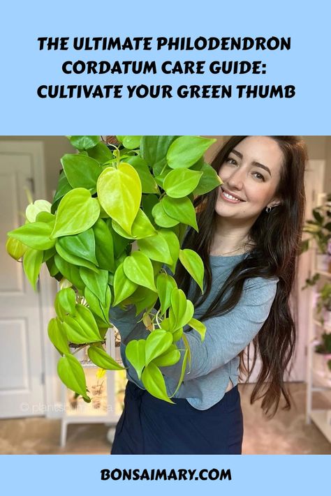 Embark on a journey to cultivate your green thumb with our Ultimate Philodendron Cordatum Care Guide, where every leaf becomes a testament to thriving indoor greenery. Discover the secrets to fostering a vibrant, lush haven—click now to uncover the art of Philodendron Cordatum care and follow us for an endless flow of plant wisdom and inspiration! Philodendron Cordatum, Indoor Greenery, South West, How To Take, Green Thumb, Take Care, Lush, The Fosters, Step By Step