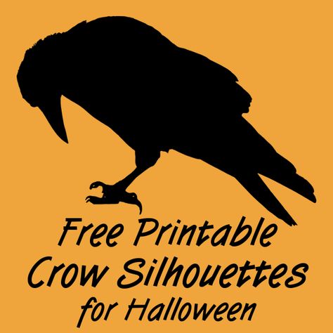 Free Printable Black Crow Silhouettes for Halloween Raven Bird Printables Images Pictures Crow Svg Free, Raven Stencil Free Printable, Free Raven Printable, Free Crow Pattern, Diy Crow Decoration, Raven Silhouette Stencil, Crow Pictures Art, Printable Halloween Silhouettes, Primitive Crow Pattern Free Printable