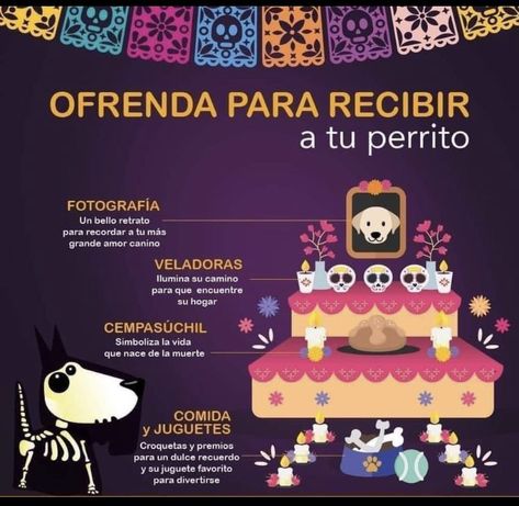 Dia De Los Muertos Crafts Ideas, Dia De Los Muertos Party Ideas, Dog Shadow Box, Spanish Learning Activities, Dia De Los Muertos Decorations Ideas, Ideas For Dogs, Tissue Paper Flowers Diy, Instagram Username Ideas, Mom Party