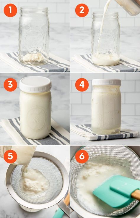 Milk Kifer Recipes, How To Use Kefir, How To Make Kefir, Kifer Recipes, Kefir Yogurt Recipes, Diy Kefir, Kiefer Recipes, Milk Kefir Benefits, Tips To Grow Hair