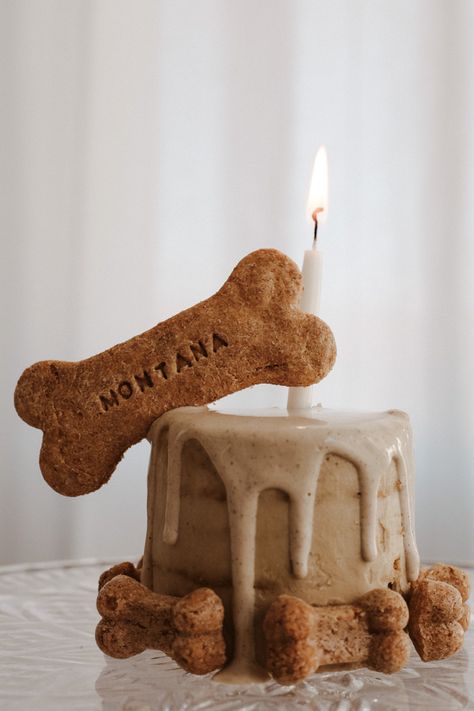 Puppies Cake, Pet Treats Recipes, Dog Mommy, Dog Birthday Cake, Dog Business, Dog Bakery, Dog Cakes, Puppy Birthday, Dog Birthday Party