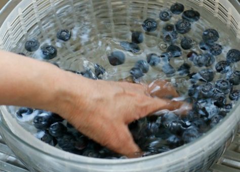 How To Clean Blueberries, Cleaning Blueberries, Clean Blueberries, Berry Wash, Washing Berries, Vinegar Bath, Easy Blueberry Desserts, Fruit Cleaning, Kill Mold